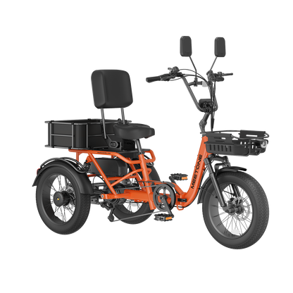 Meet One Breeze Pro 2.0 Full Suspension Fat Tire Electric Trike