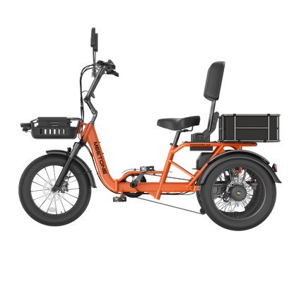 Meet One Breeze Pro 2.0 Full Suspension Fat Tire Electric Trike