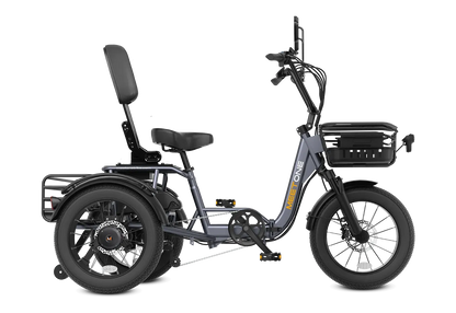 Meet One Breeze Pro Fat Tire Electric Trike